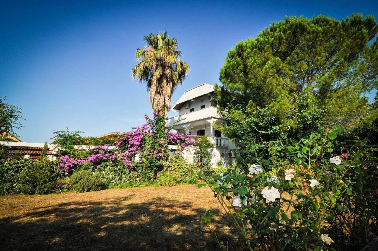 Apartments Villa Stankovic Tivat Exteriör bild